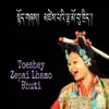Tenzin Donsel - Toeshey Zepai Lhamo Bhuti (Tibetan song) - Single